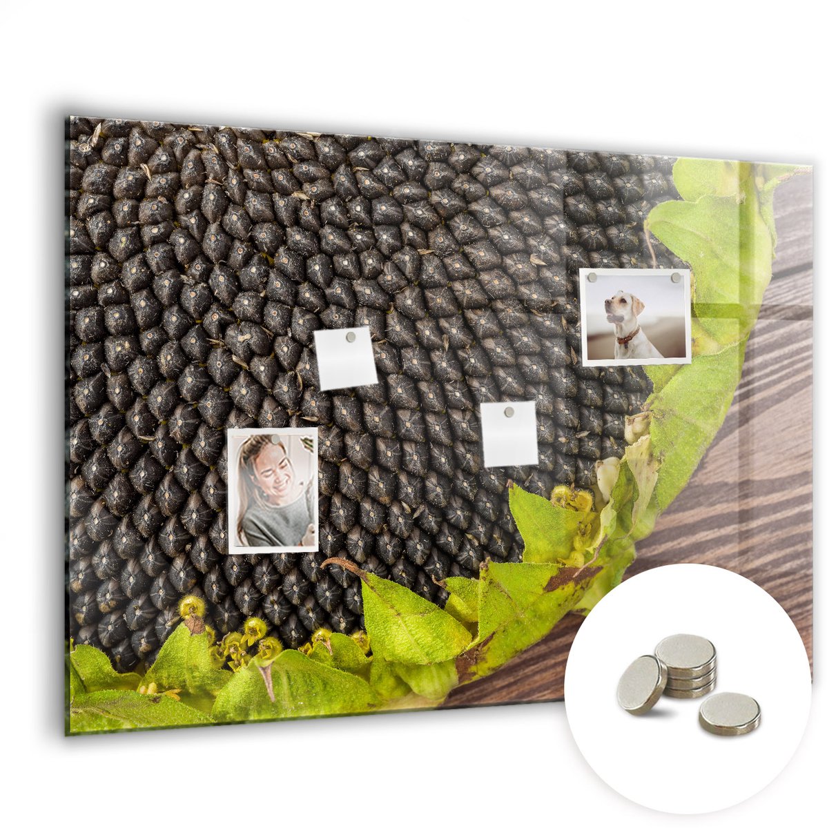 Coloray Glazen Magneetbord - Magnetisch Bord Een kopje koffie - 100x70 cm - Veelkleurig Magneetbord - Magnetic Board - Keuken Decoratie