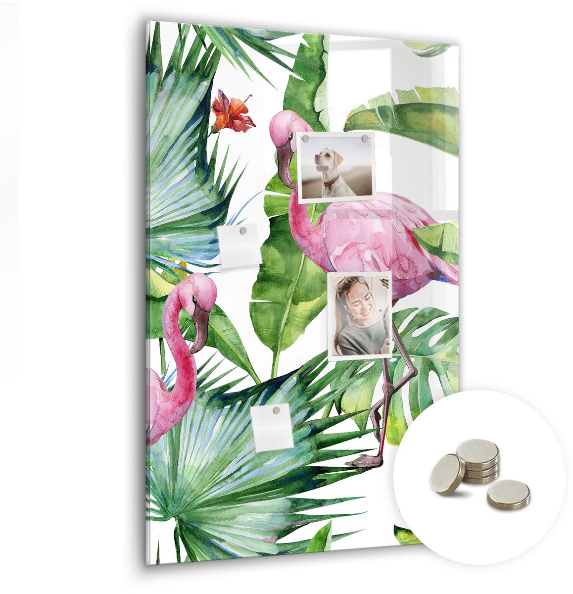 Coloray Glazen Magneetbord - Magnetisch Bord Specerijenexplosie - 60x90 cm - Roze Magneetbord - Magnetic Board - Keuken Decoratie