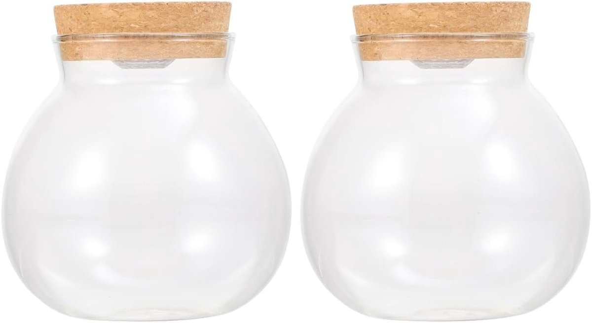 SnelShoppen - 2 Stuks Terrarium Glazen Flessen met Licht - Micro Landschap Houder van Borosilicaatglas met Deksel voor Creatieve Decoraties in Woonkam