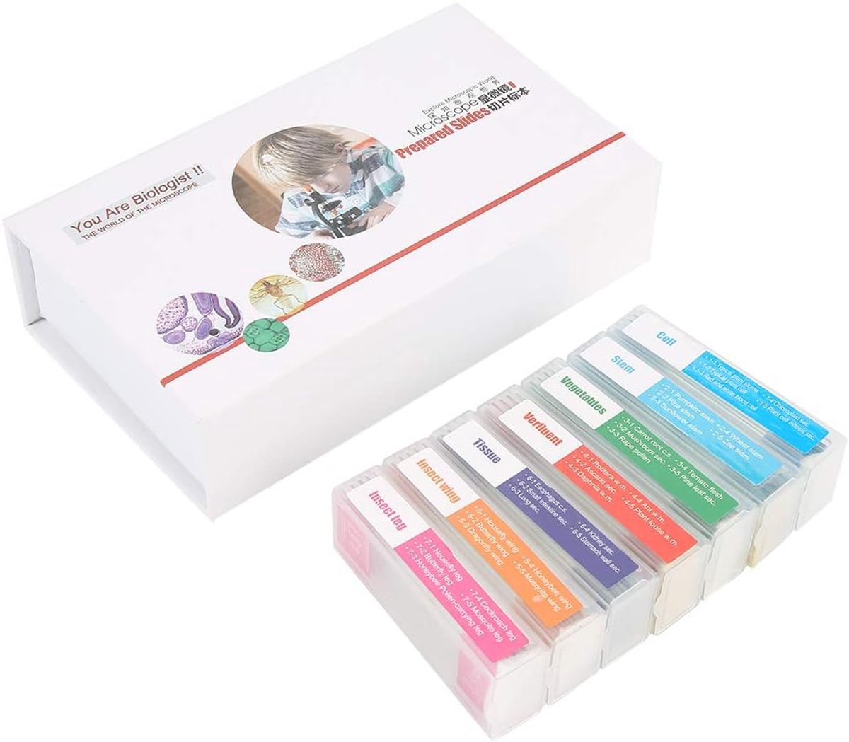 SnelShoppen - Microscoop Mes Set, Voorbereid met Monsters, Transparante Glazen Messen, Collectie van Diverse Monsters voor Onderwijs in Biologische We