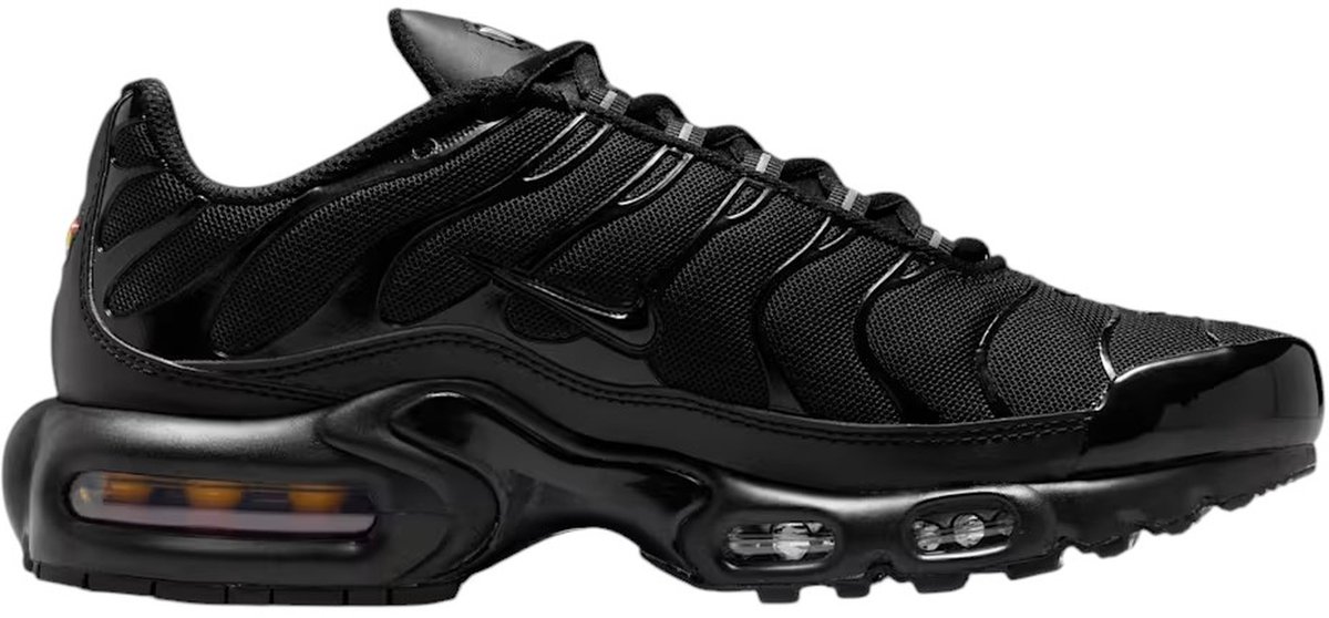 NIKE WMNS AIR MAX PLUS Veelkleurig