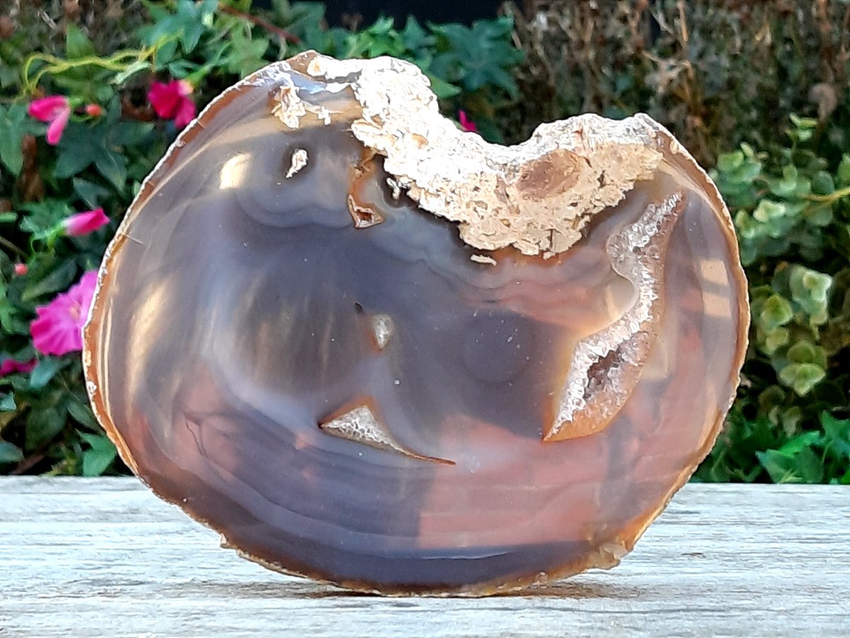 Agaat schijf - 447 gram