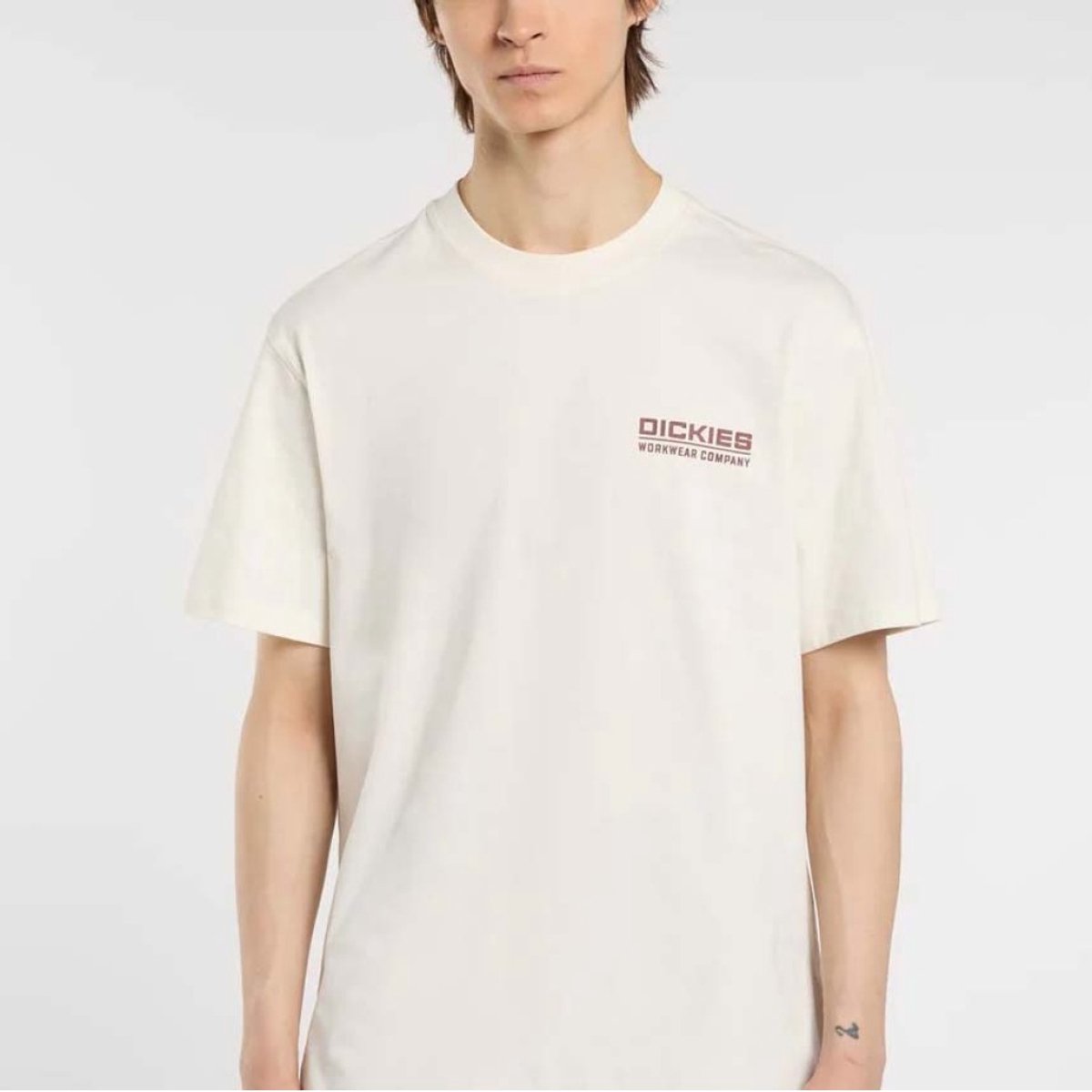 DICKIES DK0A87QKC481 L EU Beige