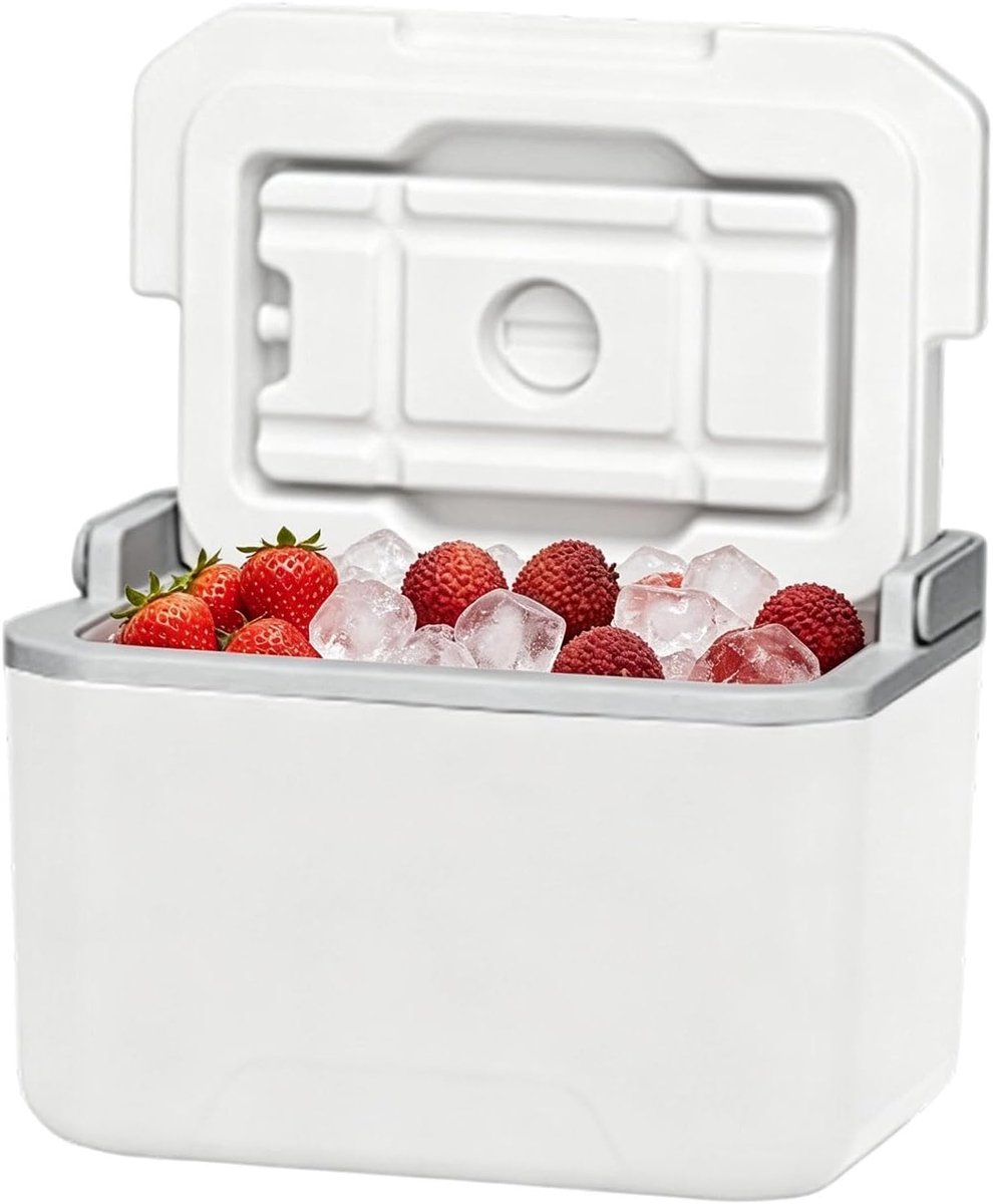 Camping Koelbox - Geïsoleerde Container - Dranken Koel Houden - Harde Schaal - 5 Liter - Enkele Kleur