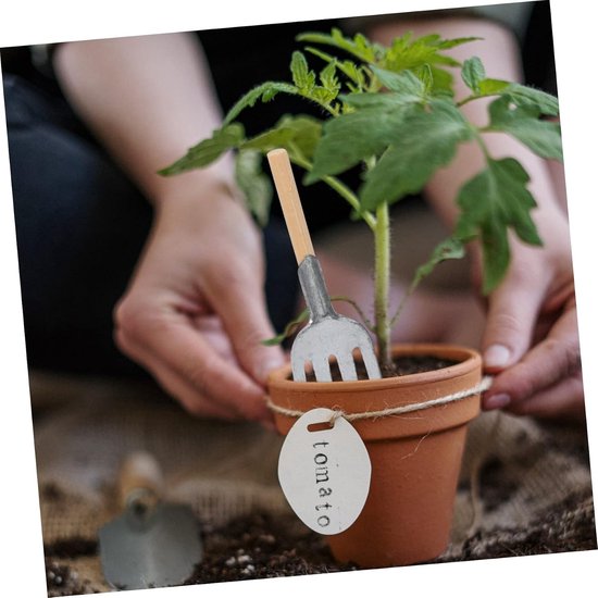 ifundom 5 Stuks Gadgets Voor Tuinieren Tuin Hand Troffel Mini-tuingereedschap Tuin Handschep Huisdecoratie Tuinieren Hark Pop Tuingereedschap Mini Troffel Zelf Gemaakt Kind Ijzer — afbeelding 3