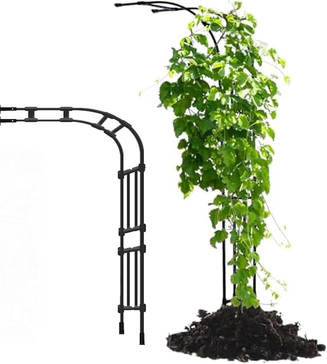 Tuinboog - Klimplant steun - Planten ondersteunen - Duurzaam metaal frame - 240 cm hoog - Zwart