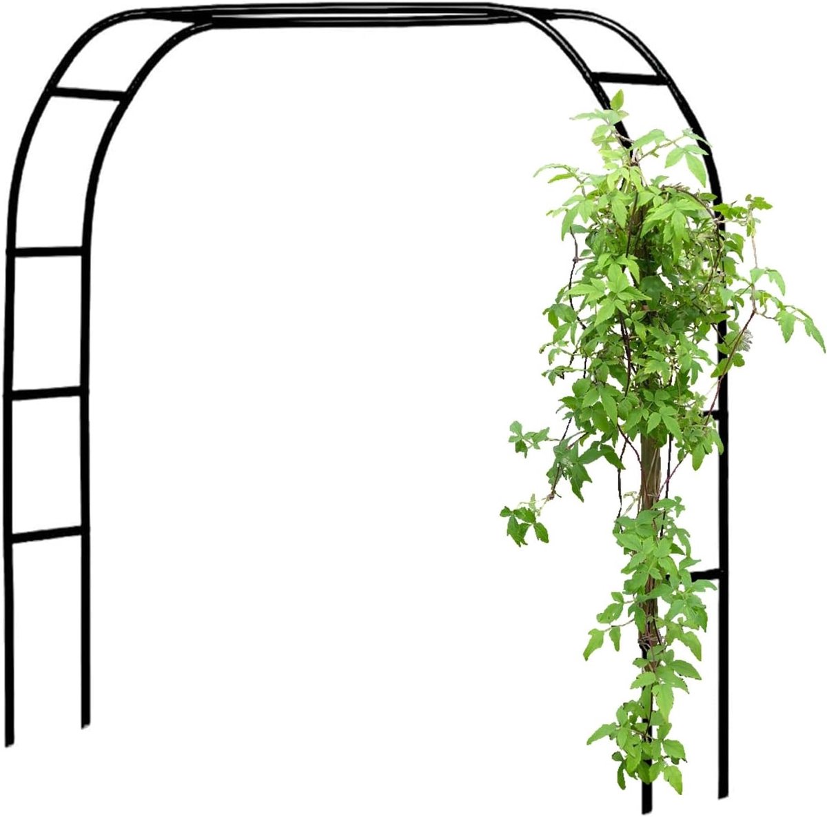 Bruiloftsboog - Klimplantboog - Tuindecoratie - Gegalvaniseerd staal - 180x220x40CM - Zwart