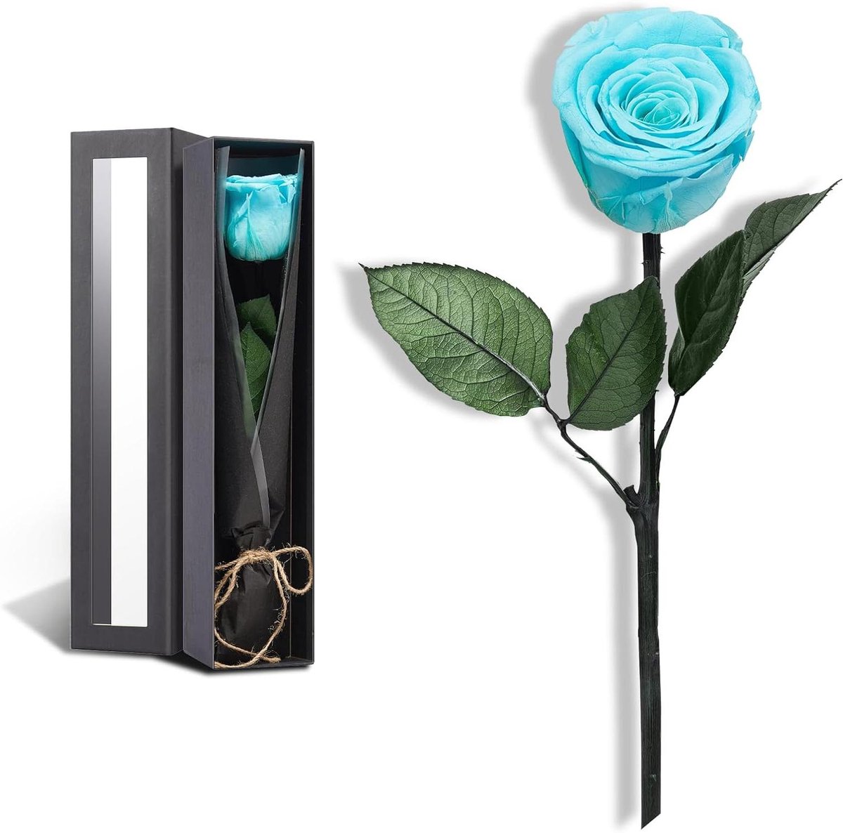 Geconserveerde Roos - Echte Bloemen - Cadeau Geven - Blijft Jarenlang Vers - 28 cm - Hemelsblauw