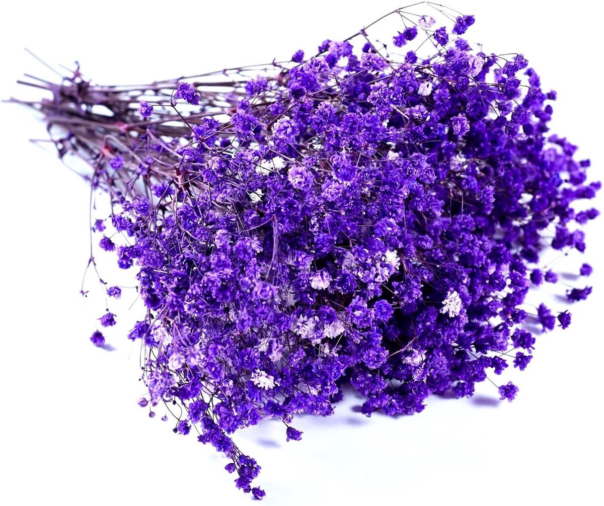 Dried flowers voor cadeauverpakkingen, verzamelalbums en handgemaakte geurkaarsen - Perfecte decoratie en unieke geschenken