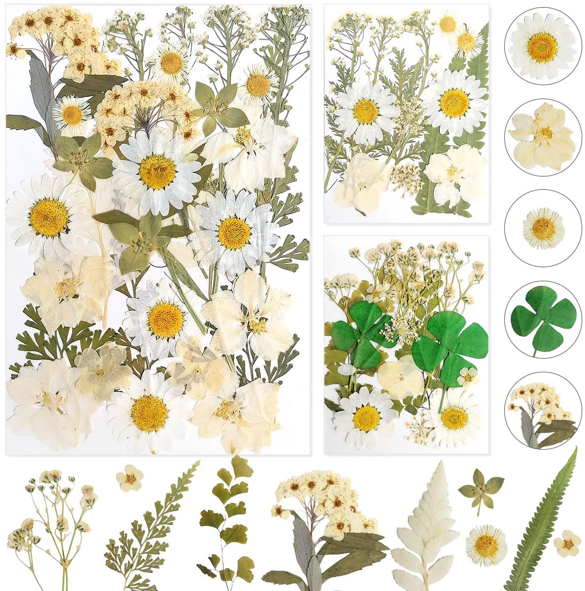 bloemen, natuurlijke gedroogde bloemen, losse gedroogde bloemen, epoxyhars, voor knutselen, scrapbooking, handwerk en sieradendecoraties (wit)