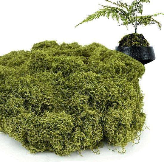 Kunstmatig mos voor decoratie - Synthetisch mos voor creatieve ambachten - Gestabiliseerd mos voor modelbouw - Terrarium en wanddecoratie - Thuisdecoratie