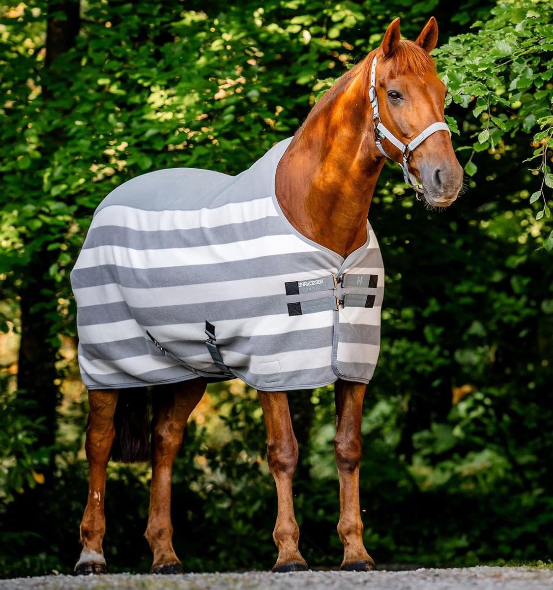 Fleece Paardendeken - Paardentrainer Koeler - Paard Na Sporten - Ademend Vochtafvoerend - Standaard - Wit