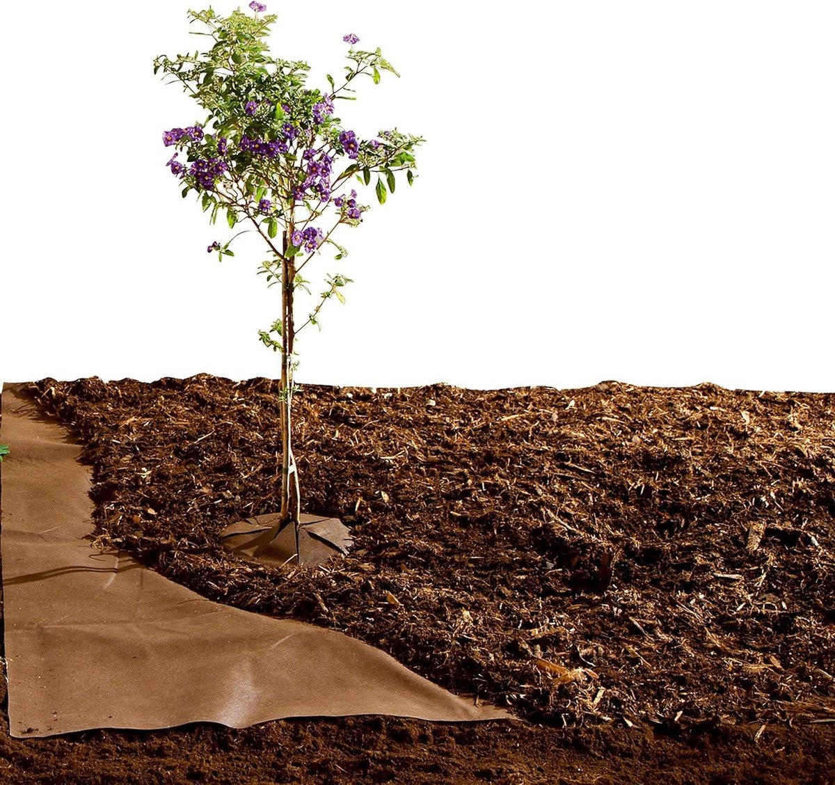 Onkruiddoek Tuinvlies - Bodemdoek Mulchvlies - Onkruid Vrij Houden - Waterdoorlatend Uv-bestendig - 3 x 10 meter - Bruin