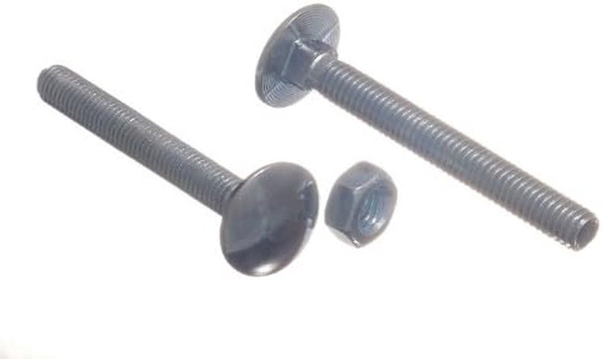 Slotschroeven met Moer - Bouten Set - Bevestigen van Materialen - Verzinkt Staal - M10 x 300 mm - Zilverkleurig