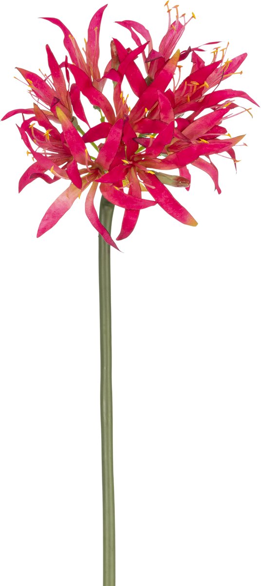 Easyplants | Kunstbloem Nerine 70 cm fuchsia | Zijde | Nepbloemen | fuchsia | Onderhoudsvrij | Kant-en-klaar