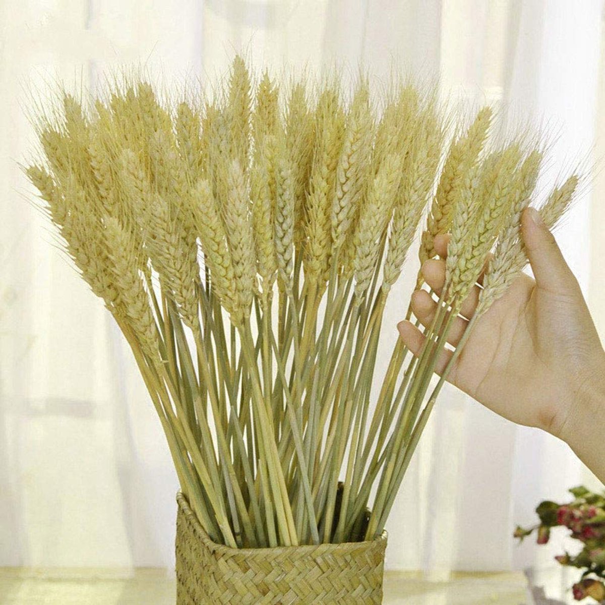 Gedroogde Tarwe Sheaves Bloem Boeket Bundels, 100 Stks Natuurlijke oor van Tarwe Stalks Droog Gras Bunch DIY Regelingen voor Thuis Bruiloft Winkel Decoratief