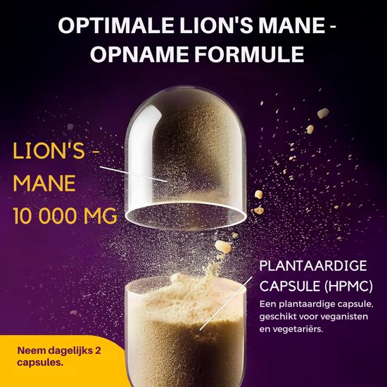 Close-up van een open capsule met Lion's Mane poeder. Bevat 10.000 mg Lion's Mane en is een plantaardige capsule (HPMC).