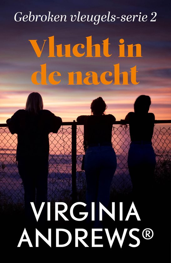 Gebroken vleugels-serie 2 - Vlucht in de nacht - cover