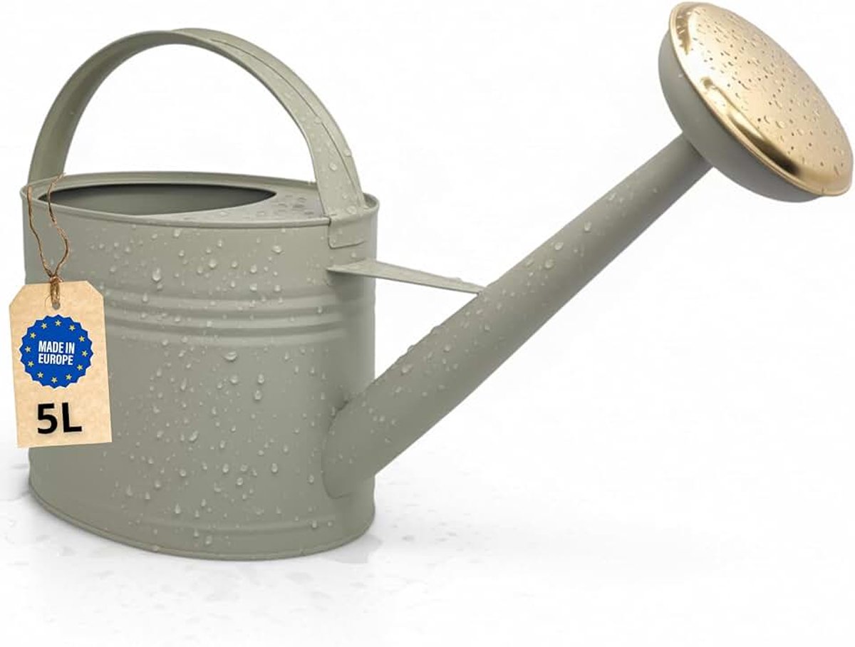 Gieter 5 liter, bloemengieter voor tuin en balkon, hoogwaardige metalen gieter 5 l van verzinkt metaal en afneembare sproeier, retro met messing douche, groen