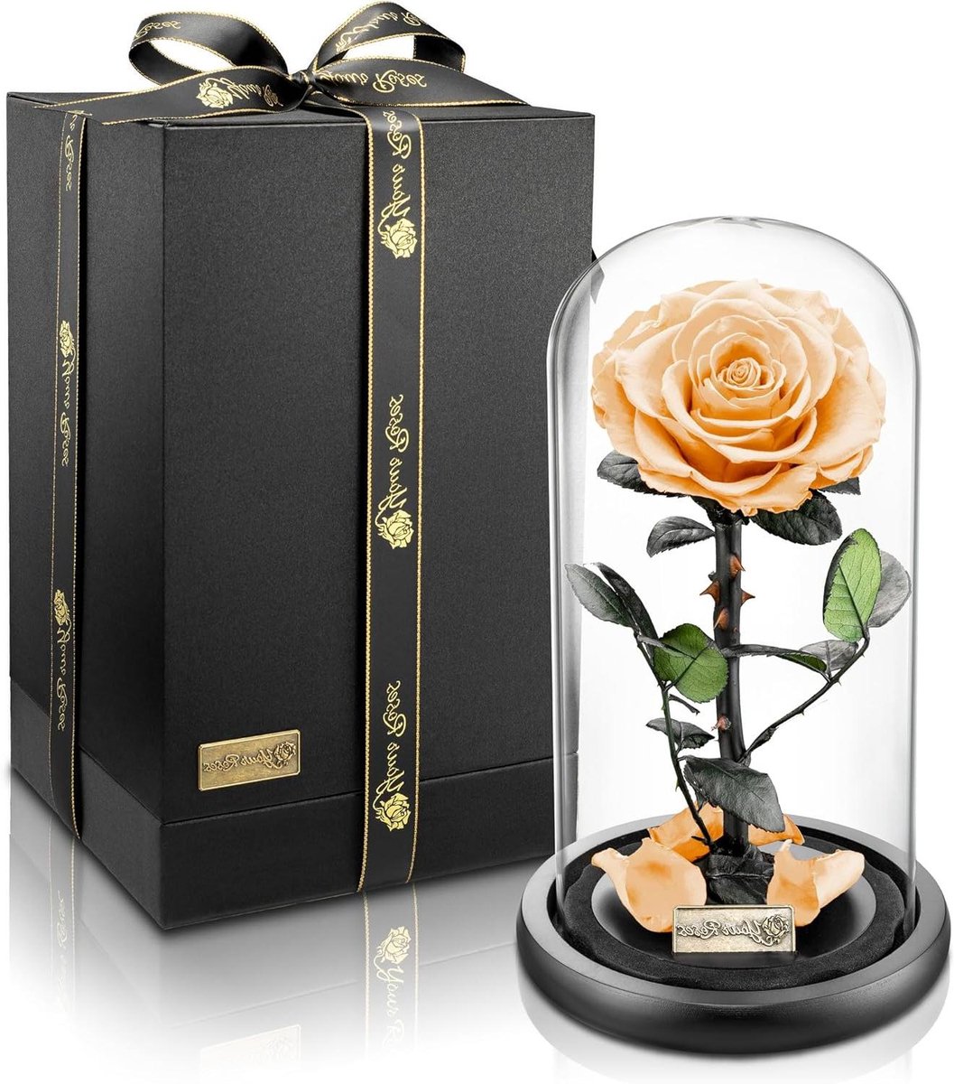 Roos in glas - Bewaarde bloem - Bewijs van liefde - Lange houdbaarheid - 19 x 29 cm - Champagne