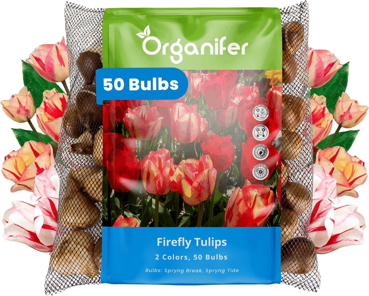 Tulpenbollen - 50 Bloembollen - Firefly - Spryng Tide & Break Kleurenmix - Organifer