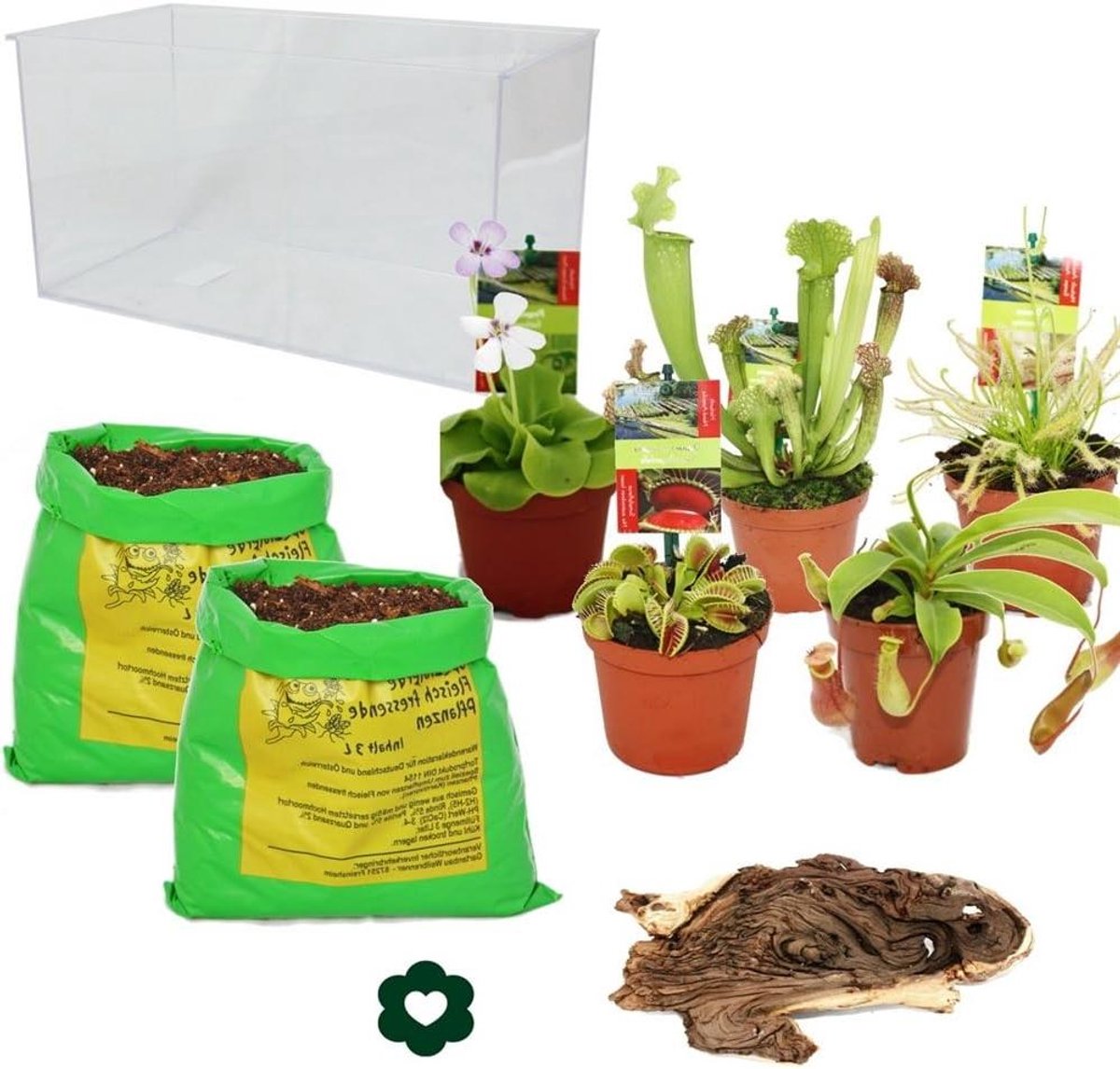 Vleesetende planten aquarium - Plantenkit Vleeseters - Eigen Tuin Creëren - Compleet Zelf Planten