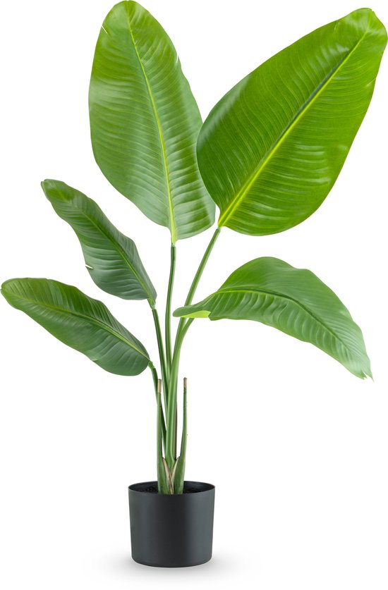 Groene kunstplant Strelitzia met grote, glanzende bladeren in een zwarte pot op een zwarte achtergrond.