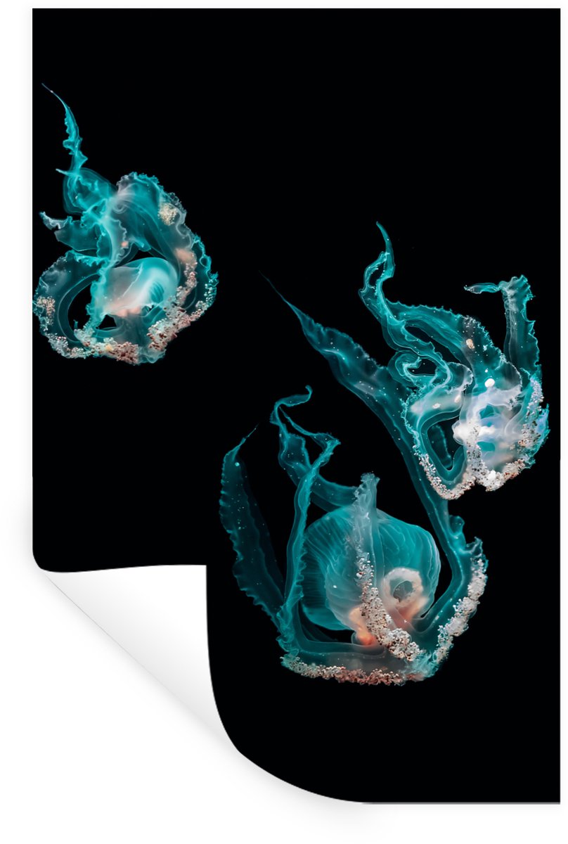 Muurstickers - Sticker Folie - Kwal - Zeedieren - Zwart - 80x120 cm - Plakfolie - Muurstic