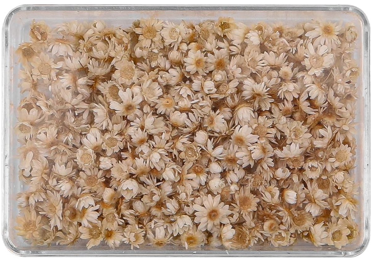 Dailygoods- Gedroogde Bloemen 200 Stuks - Mini Natuurlijke Bloemkoppen - Madeliefjes - DIY Decoraties - Kaarsen Maken - 120 Gram - Droogbloemen
