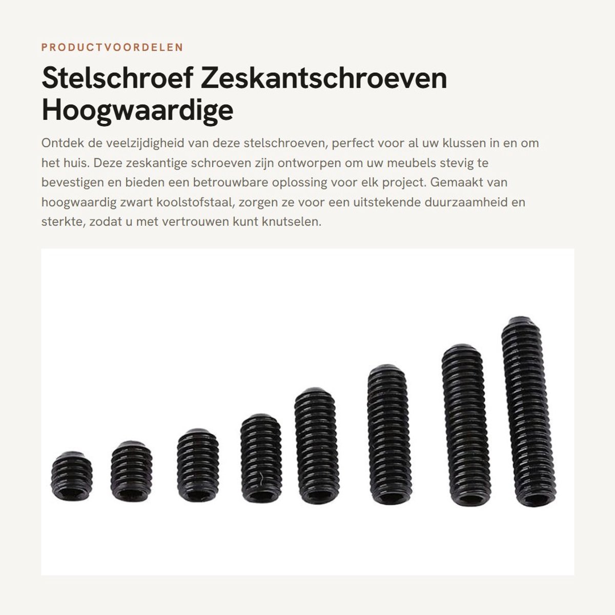Dailygoods- Stelschroef 200 stks - Zeskantschroeven - Binnenzeskant - Koolstofstaal - Roest- en corrosiebescherming - Multifunctioneel - Schroef