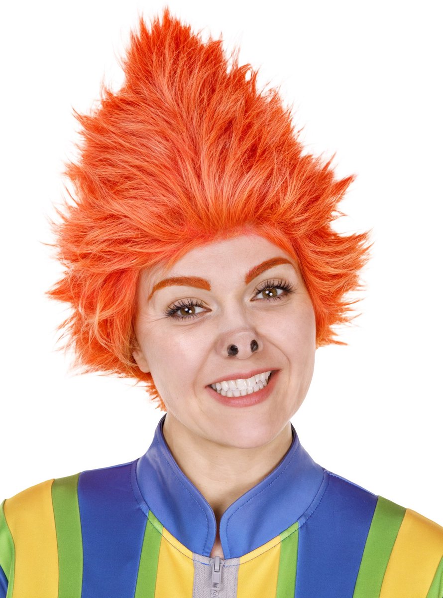 Het Sams – Pruik - Carnaval kostuum accessoire