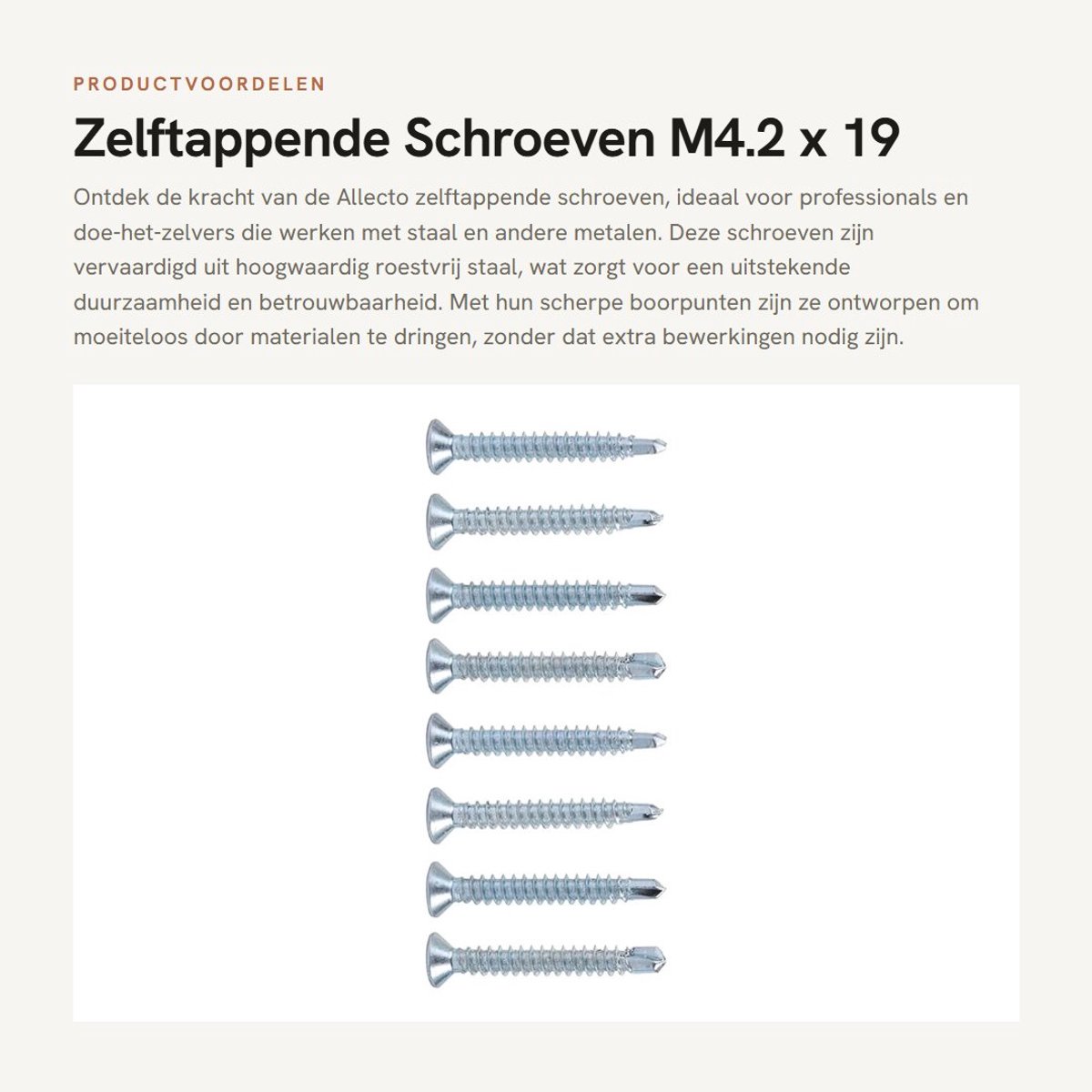 Dailygoods- Schroeven Set - 50 Stuks - Zelfborend - Plat Verzonken - Roestvrij Staal - Voorplaatbevestiging - Hoge Kwaliteit - Zelftappende Schroeven
