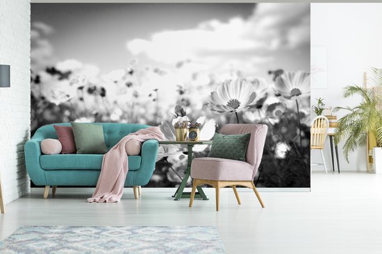 Papier Peint - Papier Papier peint photo Fleurs - Marguerite - Zwart - Wit - Largeur 420 cm x Hauteur 280 cm