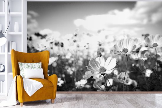 Papier Peint - Papier Papier peint photo Fleurs - Marguerite - Zwart - Wit - Largeur 420 cm x Hauteur 280 cm