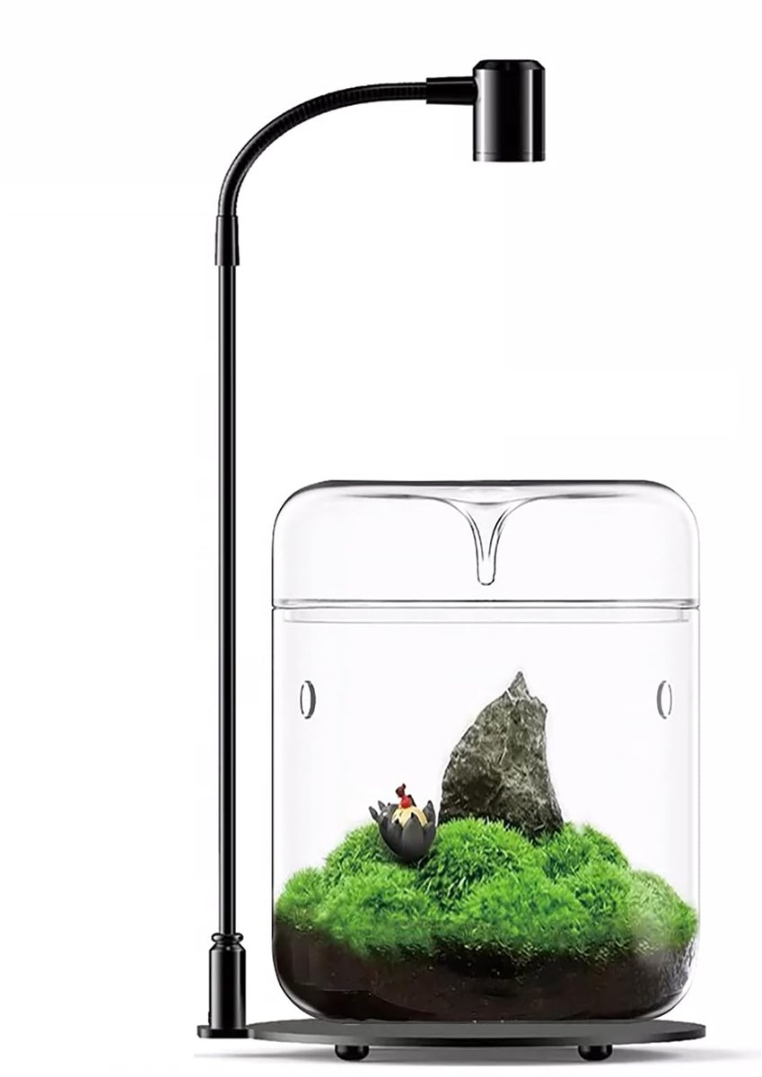 planten terrarium, 12 x 17,5 cm, vetplanten, luchtplanter, varen, mos, micro-landschap, vaas voor de decoratie van thuis, kantoor, tafelblad, container met deksel, binnen (met licht)
