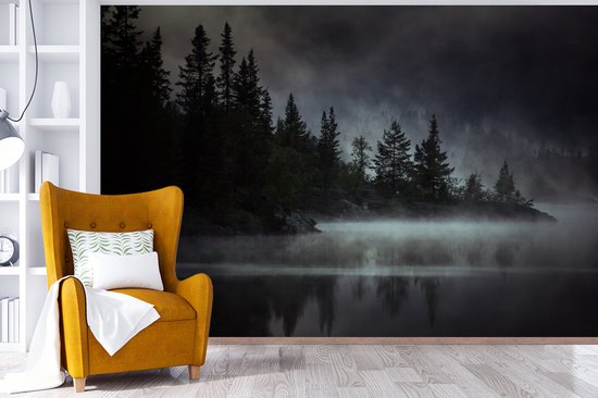 Papier fotobehang Photo Zwart et blanc d'une forêt brumeuse en Norvège