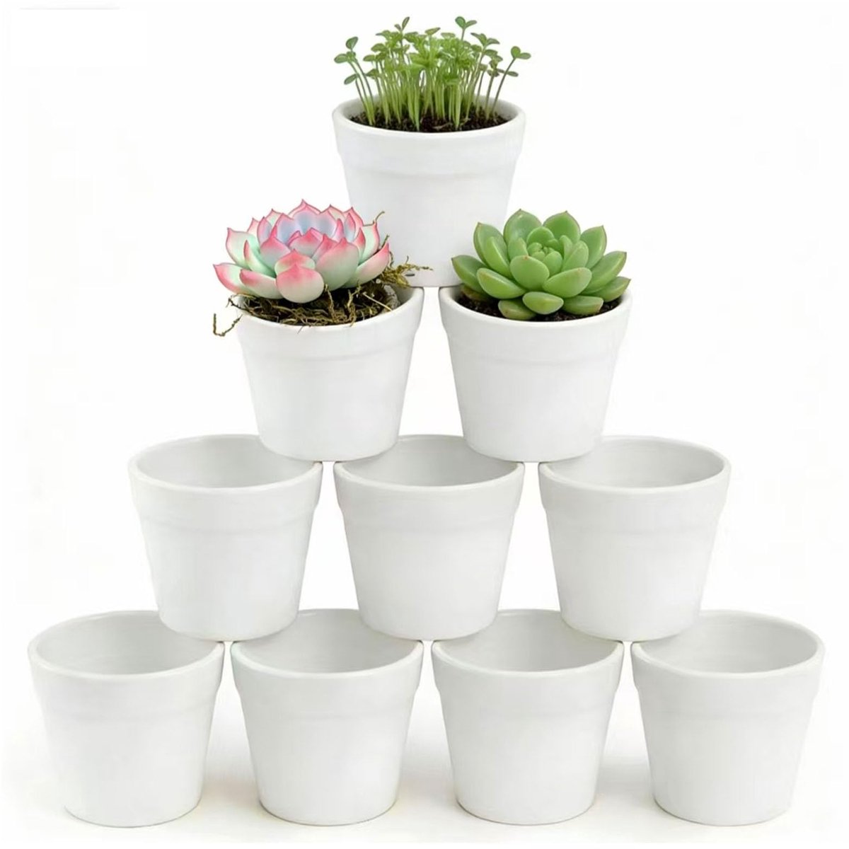 Plantenpot, onbreekbare kunststof bloempot, bloempot, ideaal voor cactus, vetplanten, bloemen, kruiden (ca. Ø 7 cm x hoogte 6 cm)