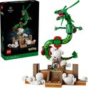 LEGO Rayquaza Pokémon bouwpakket 72168 met groene draak, bruin altaar en demonstratieafbeelding.