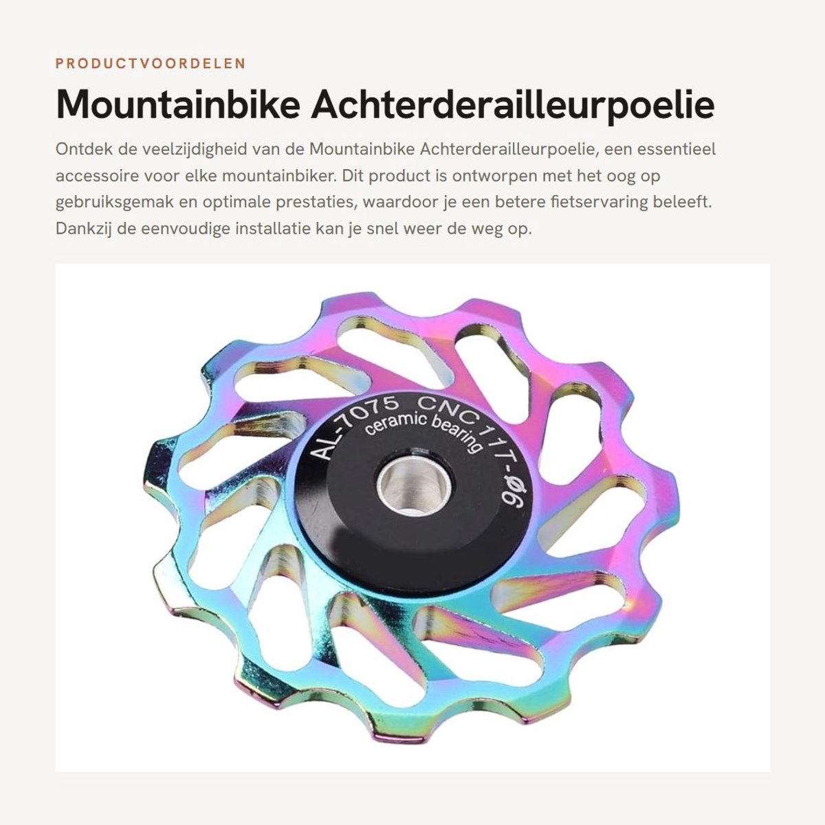 Dailygoods- Achterderailleurpoelie 11T/13T - Eenvoudig te installeren - Fietsaccessoire - Huls 4 mm - Gatdiameter 5/6 mm - Geschikt voor mountainbike - Fietsrol