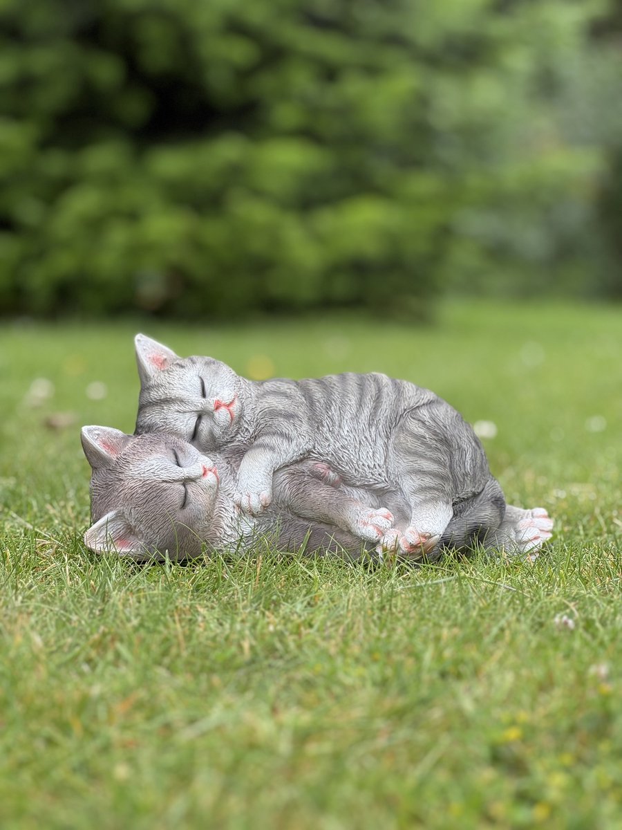kattenpaar slapend 12 cm hoog FI - decoratief beeld - dierenbeeld - decoratie - voor binnen - voor buiten - cadeau - geschenk - voor hem - voor haar - Verjaardag - Valentijn - Nieuwjaar - Kerst - Moederdag - Vaderdag