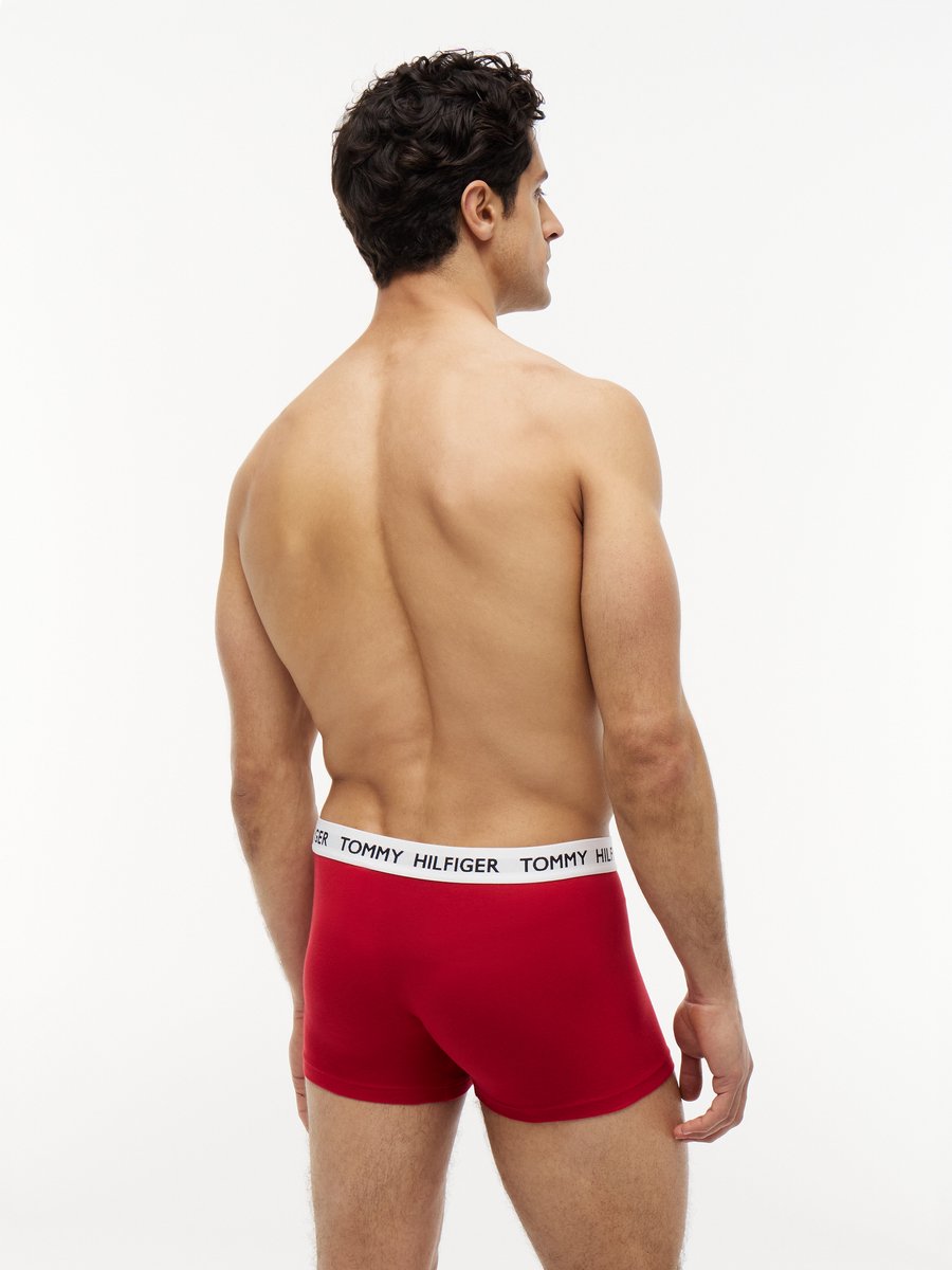 Tommy Hilfiger Underwear/Swimwear (PVH Group) - - Volwassenen - Onderbroeken