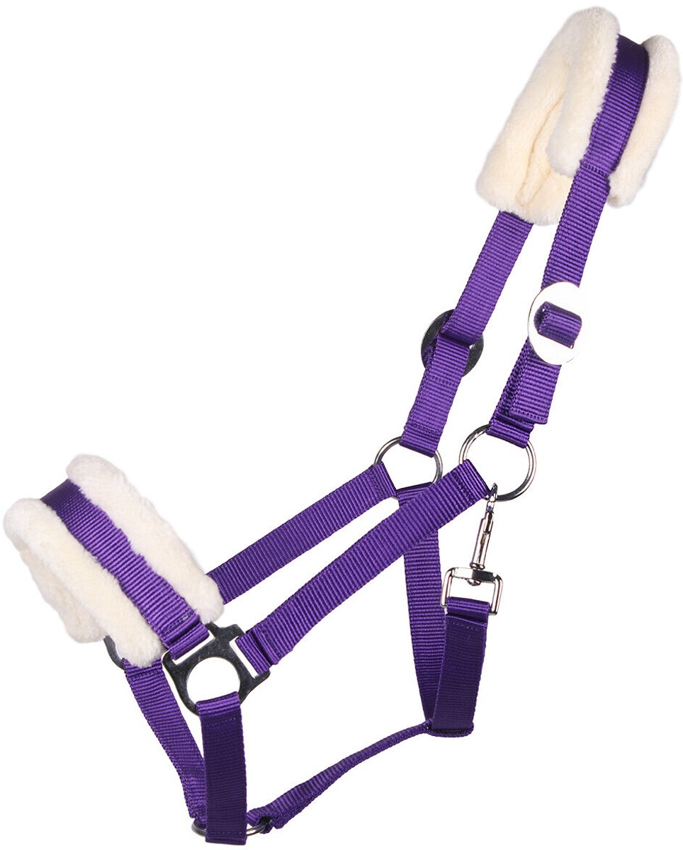 Halster voor paarden Q-essentials Cali