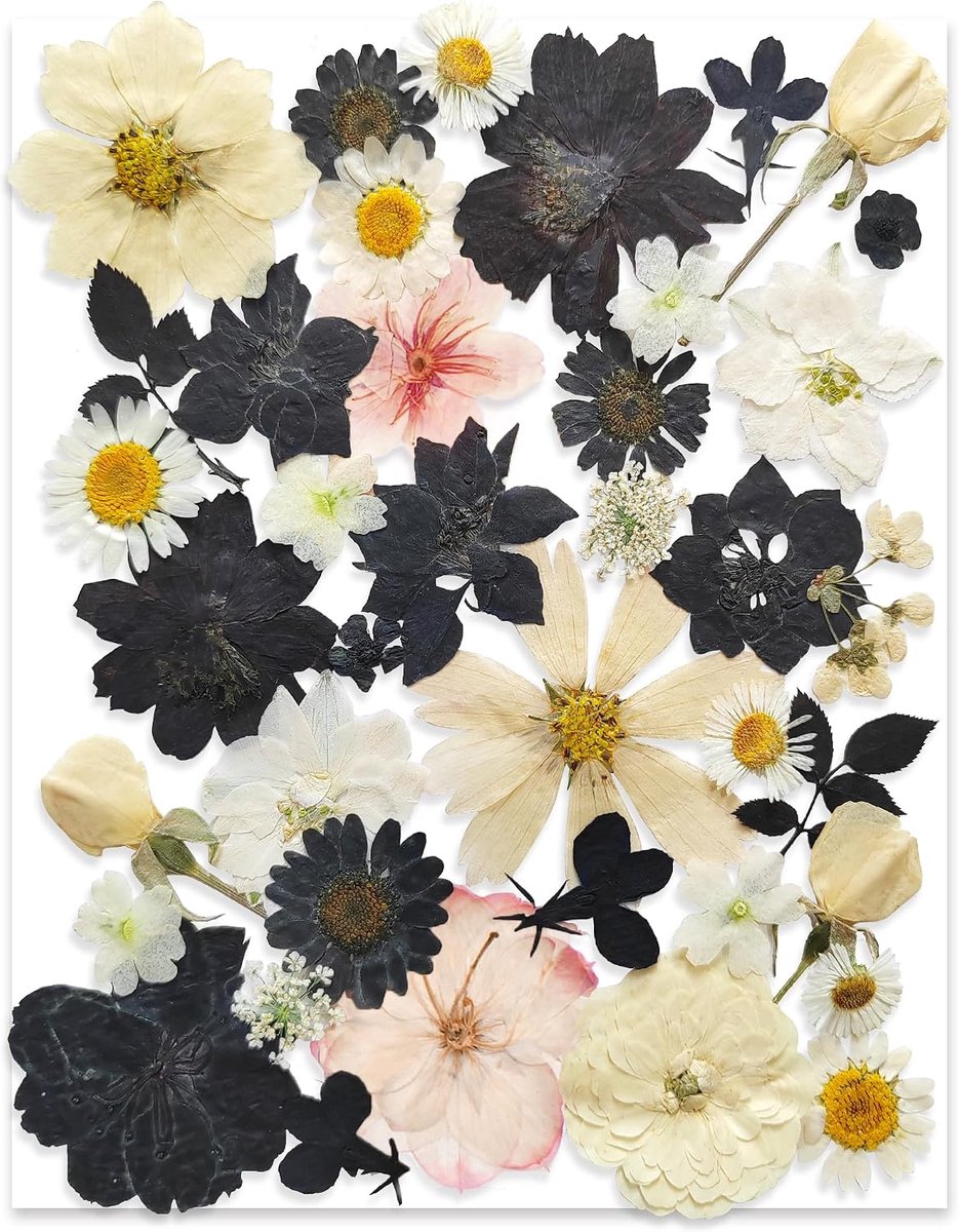 13 soorten - 37 stuks - groene gedroogde geperste bloemen voor harsvormen - echte natuurlijke geperste bloemen voor doe-het-zelf kunsthandwerk - kaarsen maken - nageldecoratie