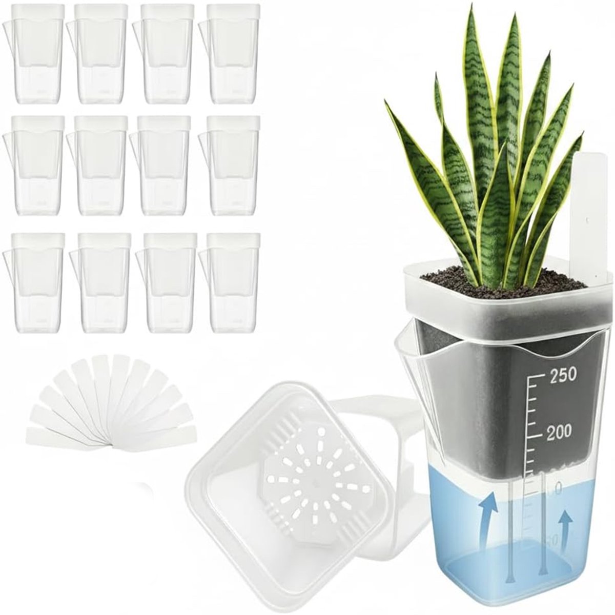 KZQ 12-delige transparante zelfwatergevende plantenpotten 2,5 inch - Met katoenen kernen en waterniveau indicators - Inclusief 12 labels - Geschikt voor kamerplanten - Transparant "