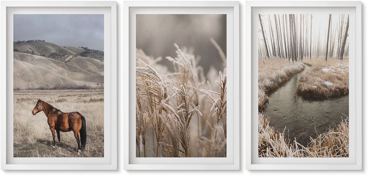 Wallfluent 3-Delige Schilderij Set - Paarden In Een Landschap Met Grassen En Een Winterbeek. - 40 x 60 - Stijlvolle Muurdecoratie - Slaapkamer