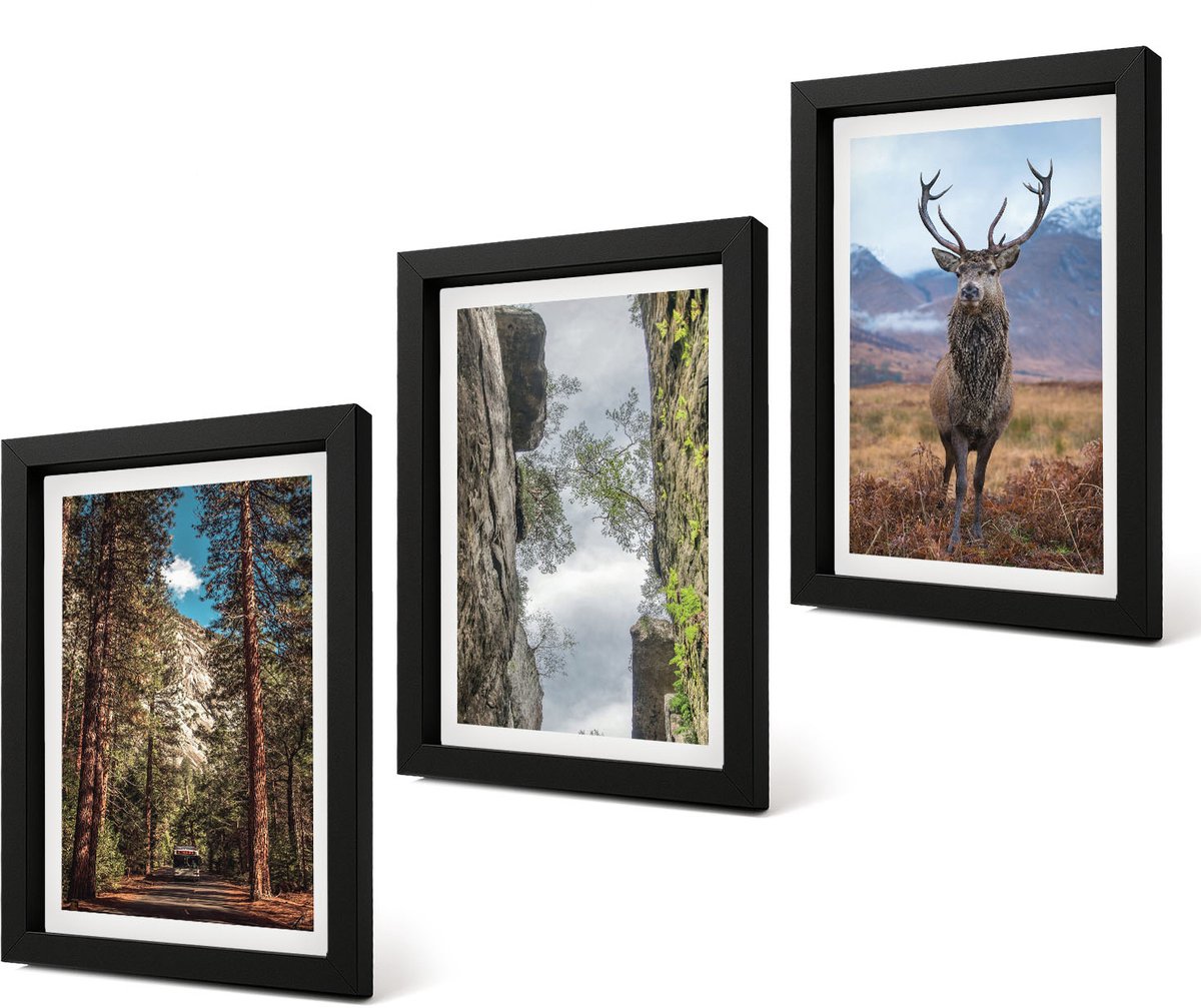 Coloray 4-Delige Schilderij Set - Weg door het bos, bergen en herten in de natuur. - 20 x 30 cm - Muurdecoratie - Wanddecoratie - Slaapkamer