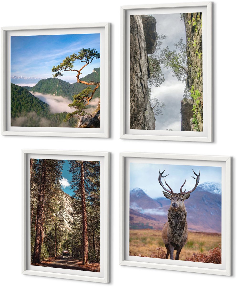 Coloray 4-Delige Schilderij Set - Weg Door Het Bos, Bergen En Herten In De Natuur. - 40 x 40 En 40 x 60 - Stijlvolle Wanddecoratie - Interieur - Woonkamer Decoratie