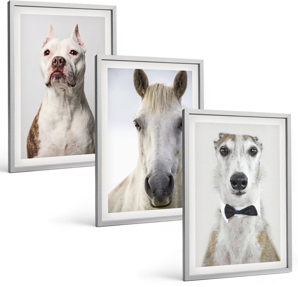 TULUP 4-Delige Schilderij Set - Interessante portretten van honden en paarden in een elegante stijl. - 40 x 60 cm - Wanddecoratie - Muurdecoratie - Woonkamer - Stijlvolle Muurdecoratie Zilveren lijst