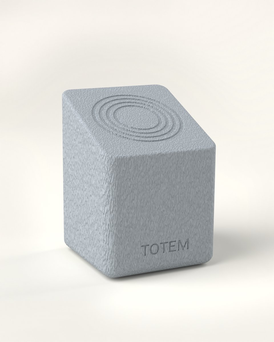 Totem Fysieke Smartphone App Blocker - Zonder abonnement - Voor Werk, Studie en tijd met je Familie.