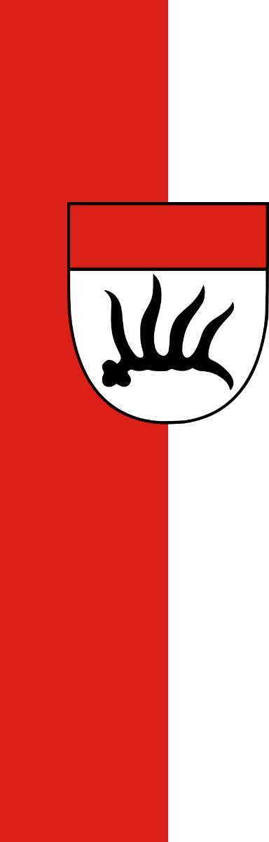Vlag Göppingen 100x150cm